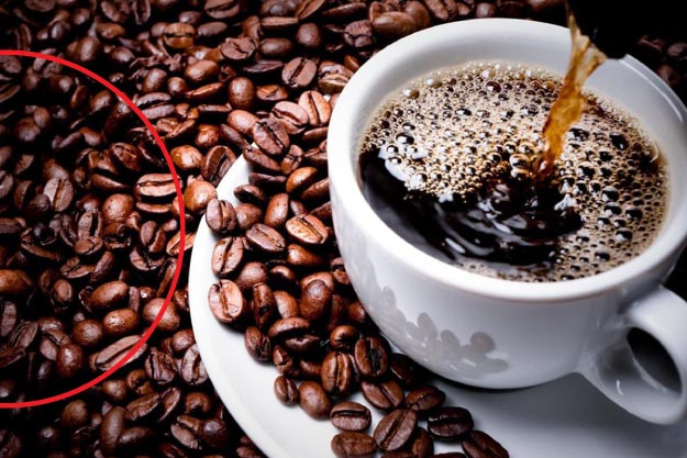 Café