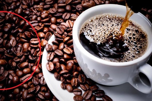 Café
